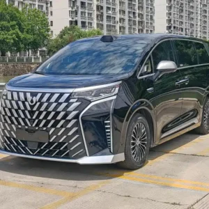Denza D9 2025 DM-i Smart Drive 1020 AWD Premium Edition
