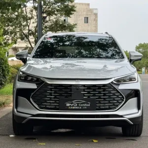 BYD Tang New Energy 2025 Smart Drive DM-i 115KM Flagship Edition