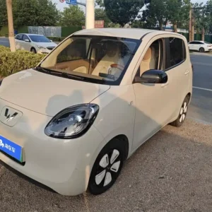 Wuling Hongguang MINIEV 4th Gen 4-door Advanced Version 2025